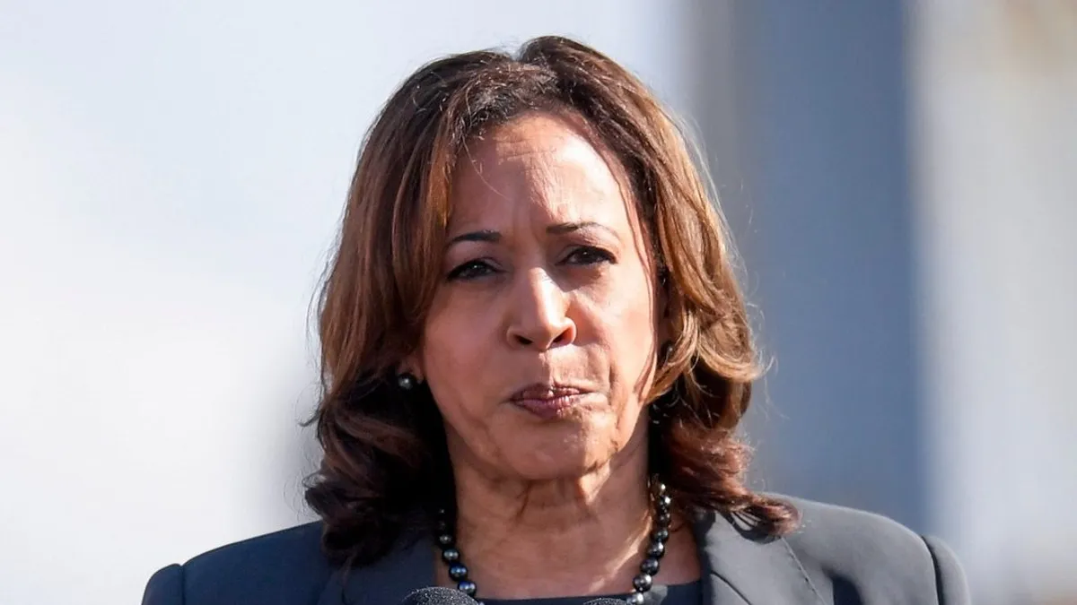 Clay Travis Slams Kamala Harris' WNBA Appearance