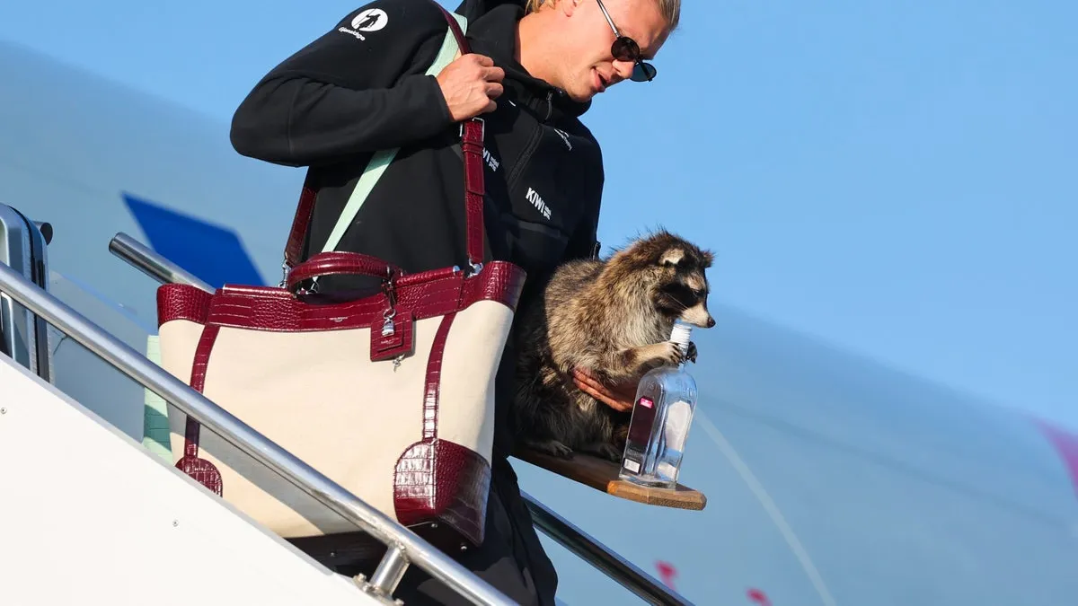Haaland Returns From Break With Unusual Souvenir