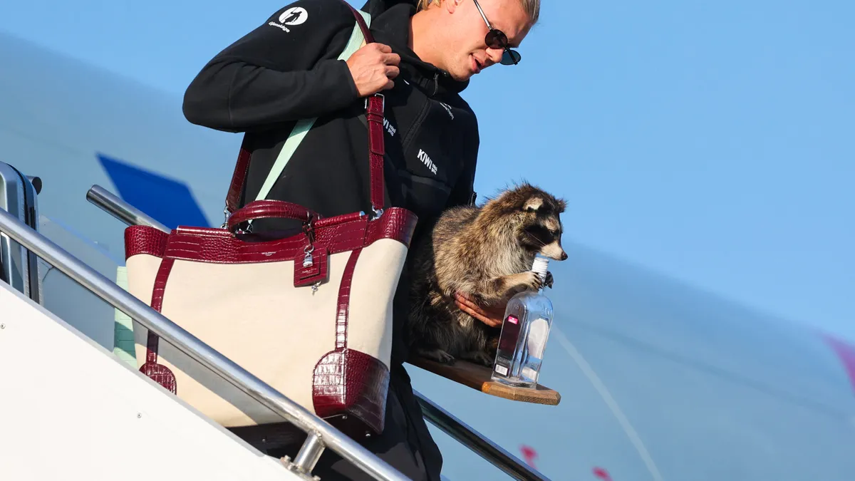 Norway's World Cup Stars Greeted by Enthusiastic Home Crowd, Even a Raccoon